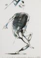 ../../images/SPGM_Galleries/vegyes/thb/_thb_2_WPA1768.jpg